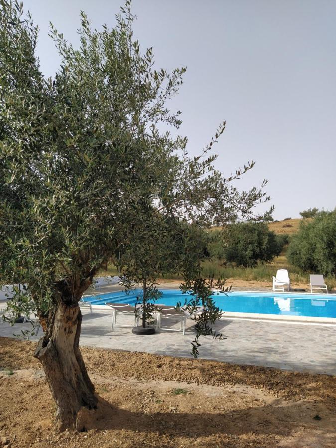 Quinta Da Fortaleza Elvas Luaran gambar